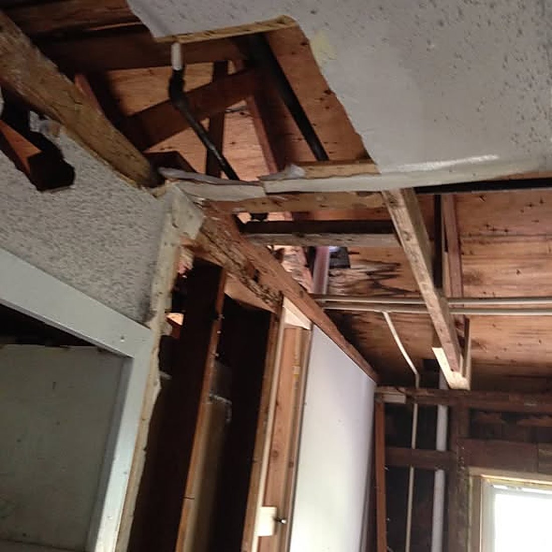 Interior gutted to the studs and ceiling framing during a Trewick Custom Renovations remodel